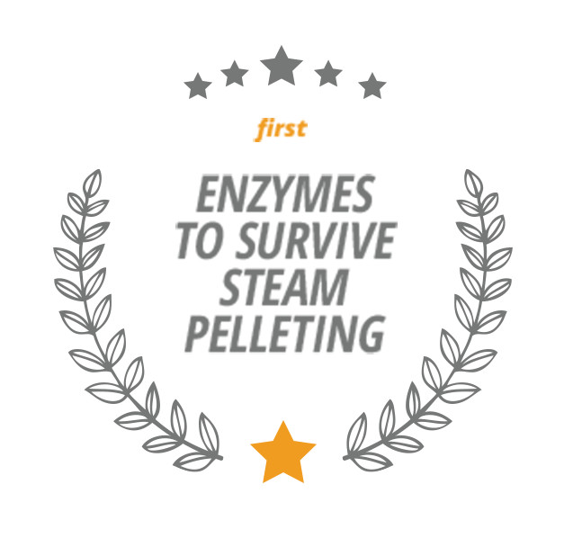 First Enzymes to Survive Steam Pelleting